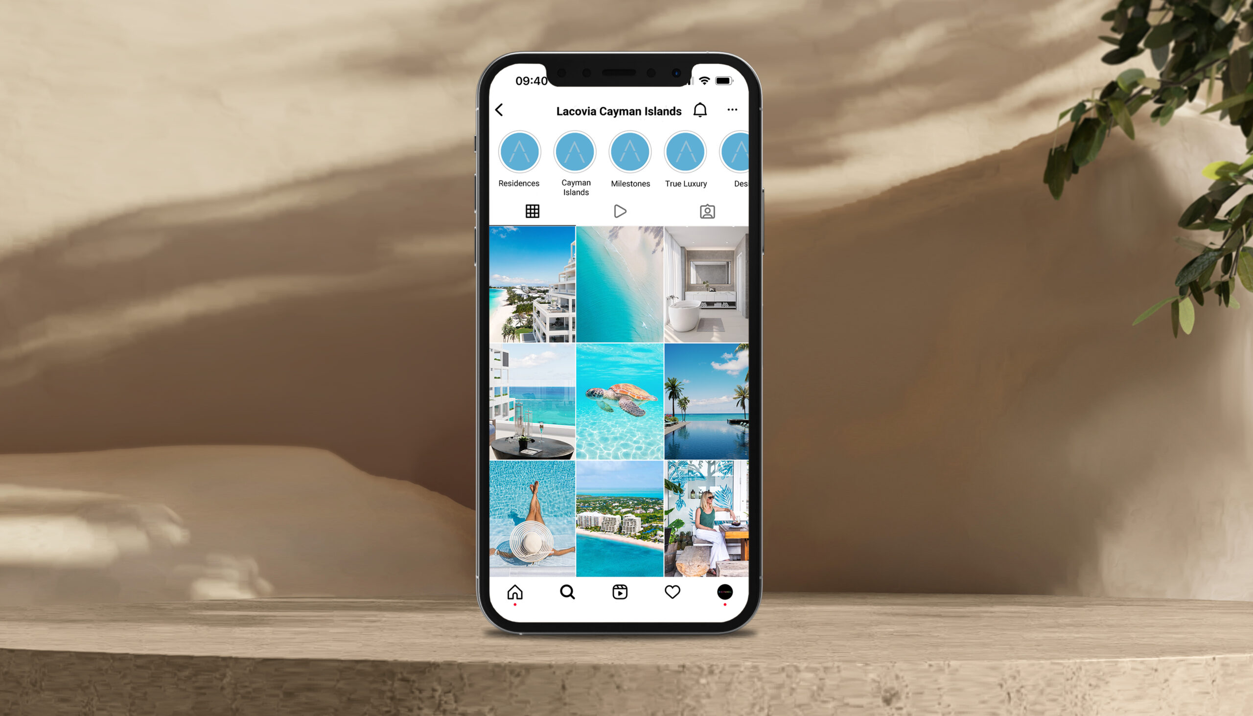 Lacovia-Instagram-Feed